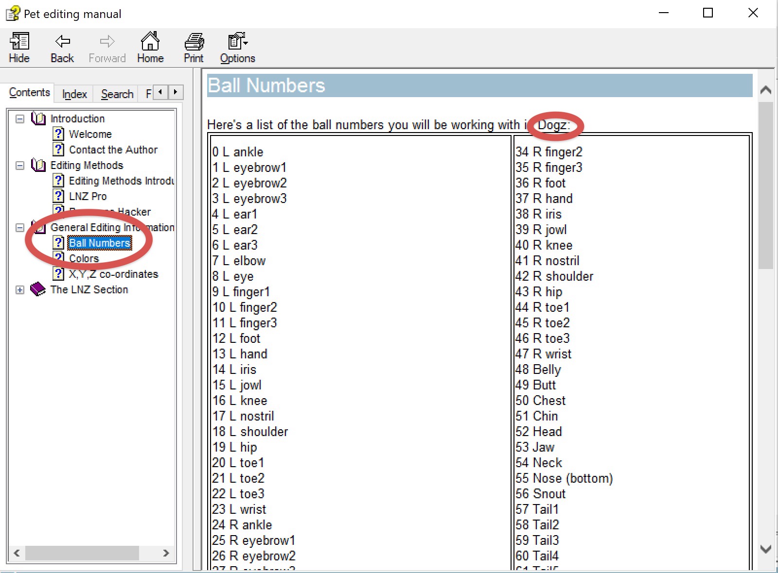 screenshot of help