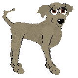 scoob