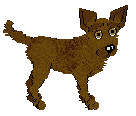 Joha