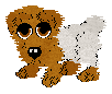 cute puppy