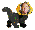 nick cat